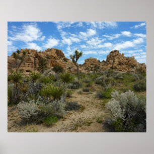 Barker Dam Loop Trail im Joshua-Tree-Nationalpark Poster