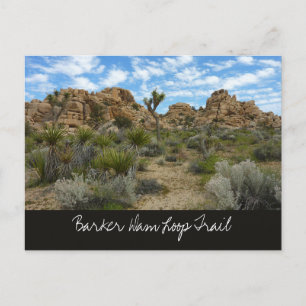 Barker Dam Loop Trail im Joshua-Tree-Nationalpark Postkarte