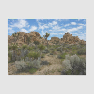 Barker Dam Loop Trail im Joshua-Tree-Nationalpark Seidenpapier