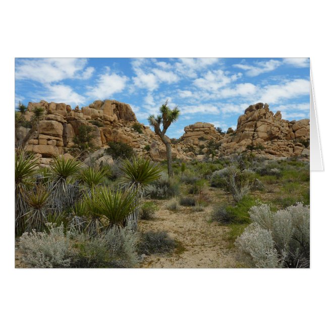 Barker Dam Loop Wandern im Joshua Tree Nationalpar (Vorderseite (Horizontal))