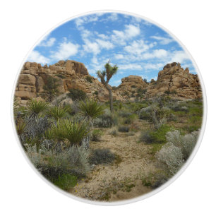 Barker Dam Loop Wandern im Joshua Tree Nationalpar Keramikknauf