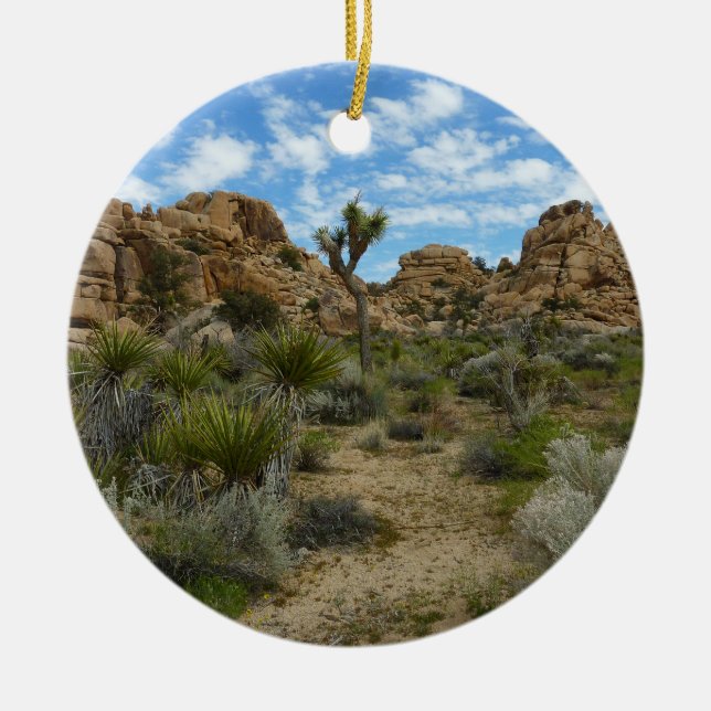 Barker Dam Loop Wandern im Joshua Tree Nationalpar Keramikornament (Vorne)