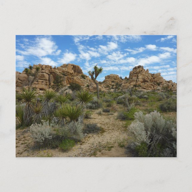 Barker Dam Loop Wandern im Joshua Tree Nationalpar Postkarte (Vorderseite)