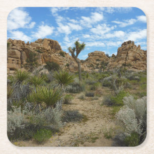 Barker Dam Loop Wandern im Joshua Tree Nationalpar Rechteckiger Pappuntersetzer