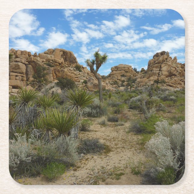 Barker Dam Loop Wandern im Joshua Tree Nationalpar Rechteckiger Pappuntersetzer (Vorderseite)