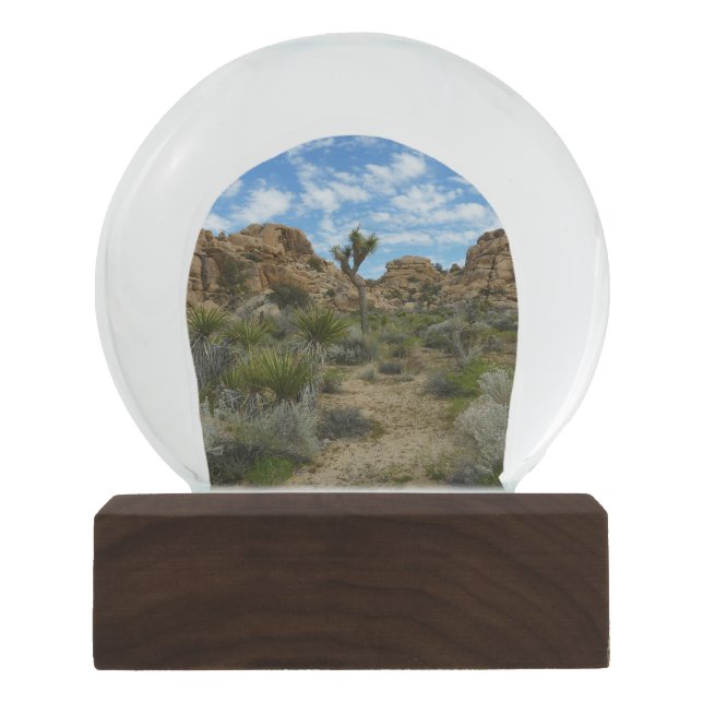 Barker Dam Loop Wandern im Joshua Tree Nationalpar Schneekugel (Vorderseite)