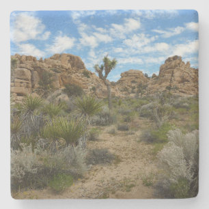 Barker Dam Loop Wandern im Joshua Tree Nationalpar Steinuntersetzer