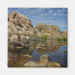 Barker Dam Reflection bei Joshua Tree I Magnet
