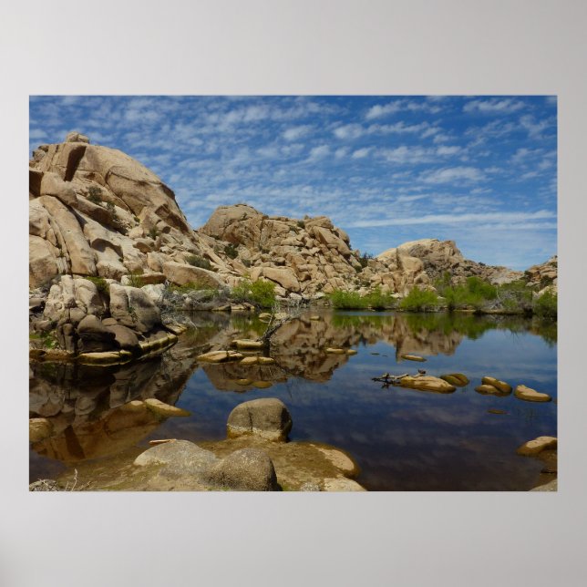 Barker Dam Reflection bei Joshua Tree I Poster (Vorne)