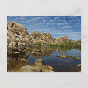 Barker Dam Reflection bei Joshua Tree I Postkarte