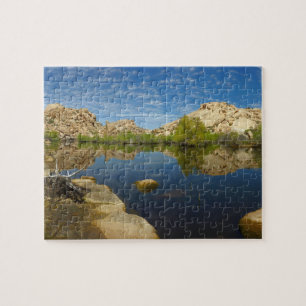 Barker Dam Spiegelung bei Joshua Tree II