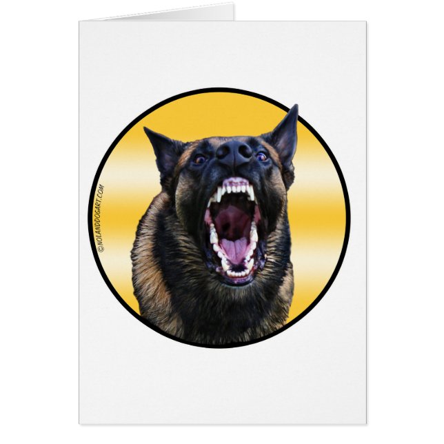 Barking Belge Malinois "Maligator" (Devant)