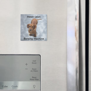 Barkmaschine für niedliche braune Dackel Magnet