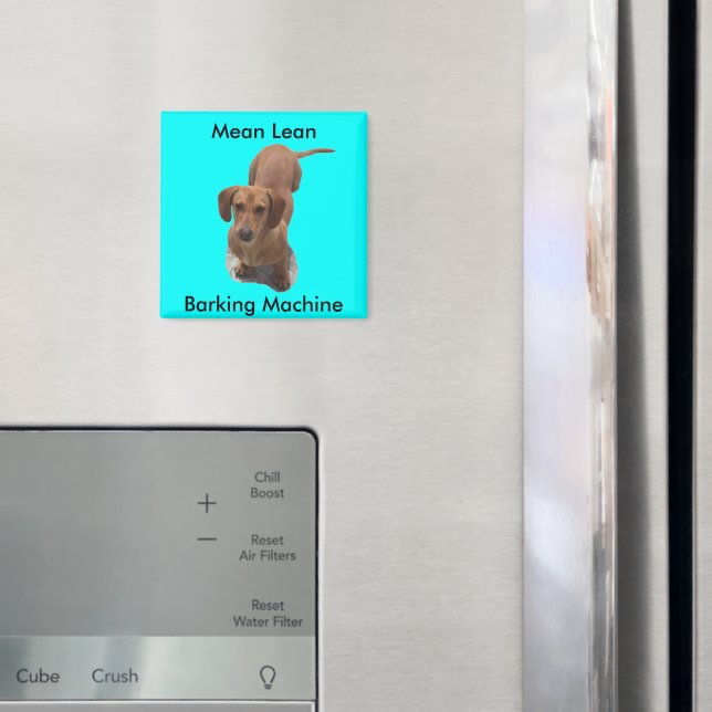 Barkmaschine für niedliche braune Dackel Magnet (In Situ (Kühlschrank))