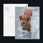 Barkmaschine für niedliche braune Dackel Postkarte<br><div class="desc">Foto-Kunstwerke für Haustiere. ⭐ PERSONALISIEREN Sie diese Vorlage mit Ihren Bildern. ⭐ EDIT weiter, um weitere Änderungen vorzunehmen. ⭐ ÜBERTRAGEN dieses Design auf jedes Produkt. Besuchen Sie alle meine Geschäfte auf bit.ly/SandyspiderStores (schneiden und einfügen).</div>