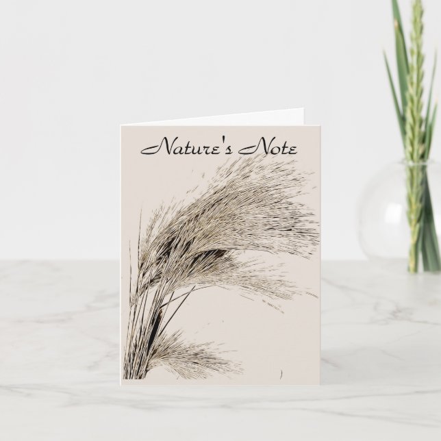 BARLEY GRASS FOTO NOTE CARD (Vorderseite)