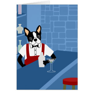 Barman de Boston Terrier