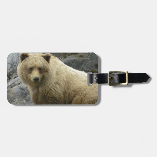 Bärn-Alaska-Tier-Schicksals-Natur Gepäckanhänger (Vorderseite horizontal)