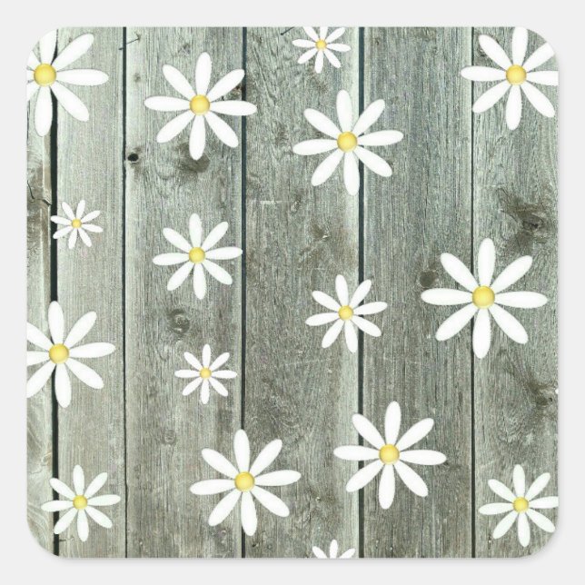 Barn Board Daisy Blume Quadratischer Aufkleber (Vorderseite)