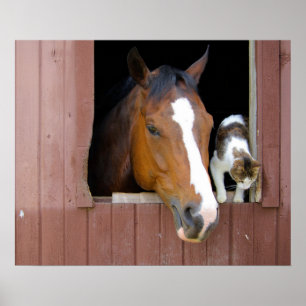 Barn Buddies Poster