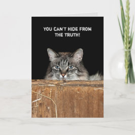 Barn Cat im Heuhaufen Geburtstag Karte