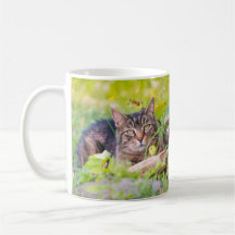 Barn Cats - Elle & Mew Coffee Mug
