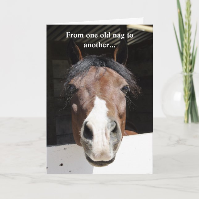 Barn Horse, old nag, happy birthday card Karte (Vorderseite)