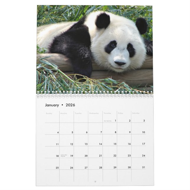 Bärn-Kalender Kalender (Jan 2026)