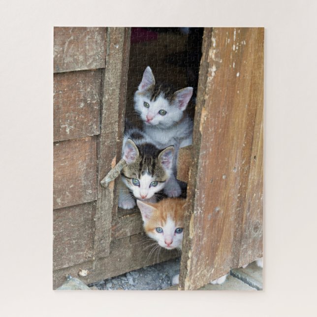 Barn Kittens (Vertikal)