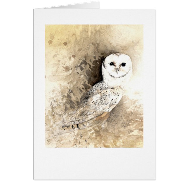 Barn Owl (Devant)