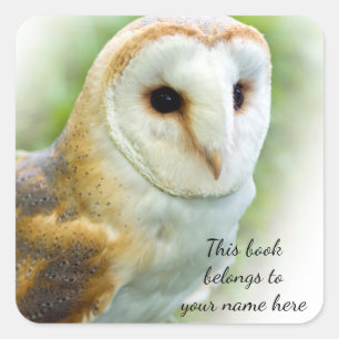Barn Owl "Ce livre appartient à" autocollant