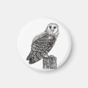 Barn Owl Magnet