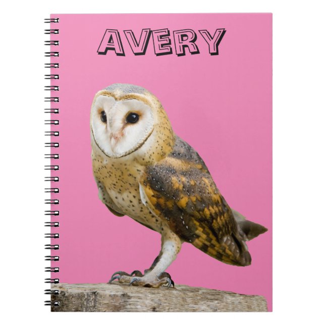 Barn Owl Notizblock (Vorderseite)