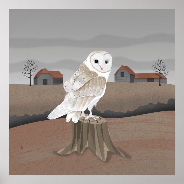 Barn Owl Poster (Vorne)