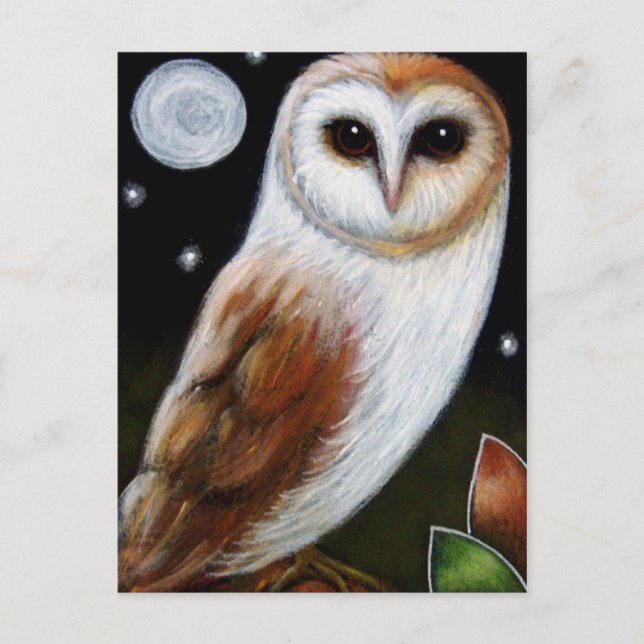 BARN OWL Postkarte (Vorderseite)