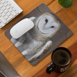 Barn Owl Raptor Photo Mousepad