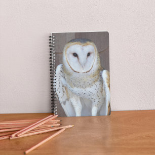 Barn Owl Raptor Photo Notizblock