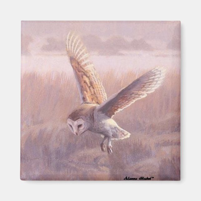 Barn Owl Square Magnet (Vorne)