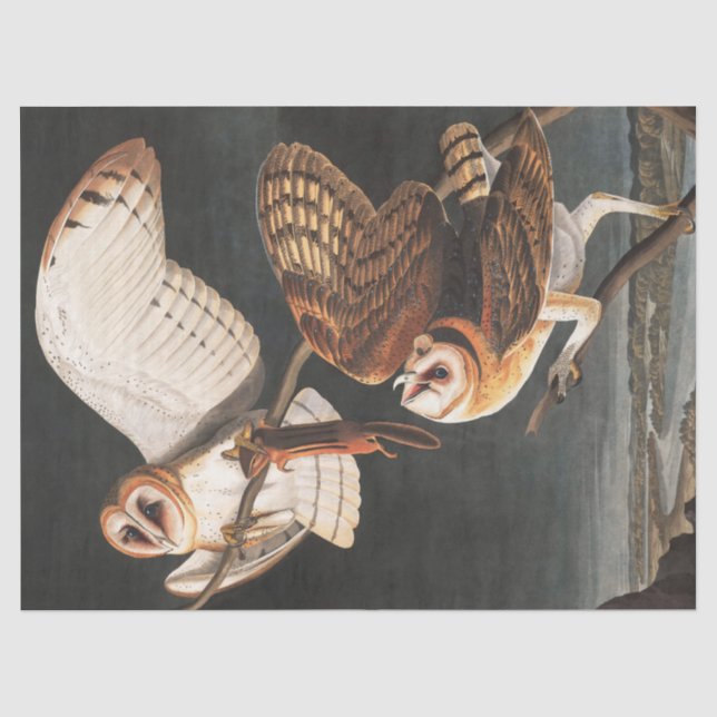 Barn Owl von John James Audubon Seidenpapier (Vorderseite)