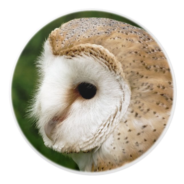 BARN OWLS KERAMIKKNAUF (Vorderseite)