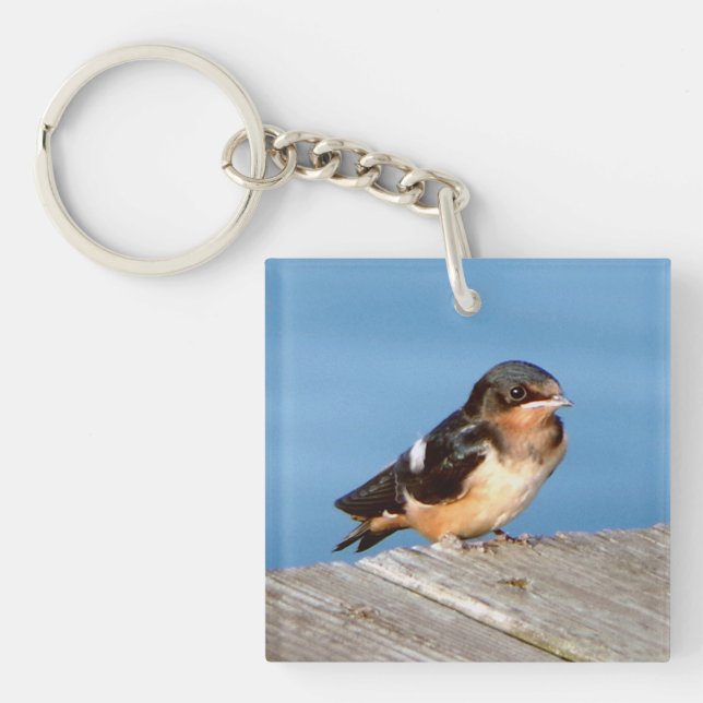 Barn Swallow Acrylschlüssel Chian Schlüsselanhänger (Vorderseite)