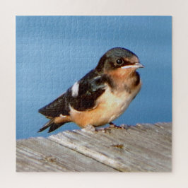 Barn Swallow Puzzle