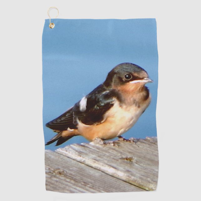 Barn Swallow serviette de golf (Devant)
