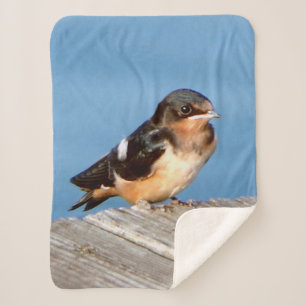 Barn Swallow Sherpa Decke Sherpadecke