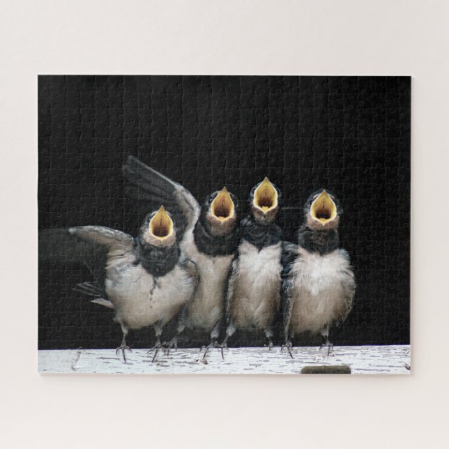 Barn Swallow Singing (Horizontal)