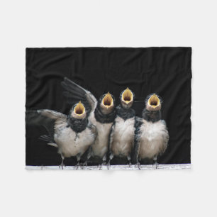 Barn Swallow Singing Fleecedecke
