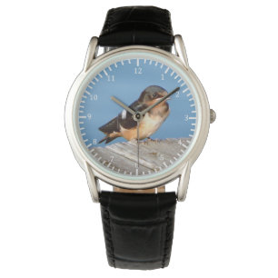 Barn Swallow Uhr