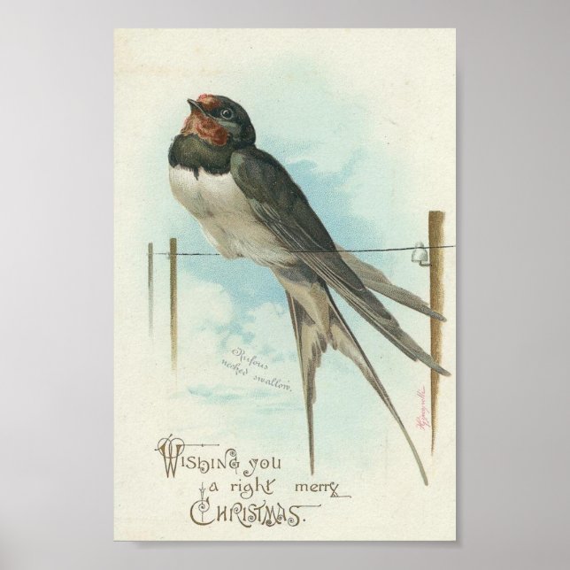 Barn Swallow Vintage Weihnachten Poster (Vorne)