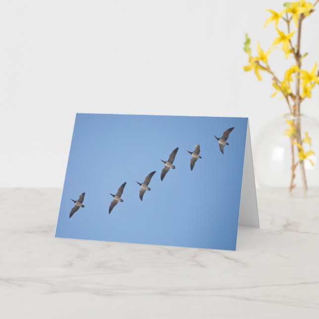 Barnacle Gese Karte (Gelbe Blume)