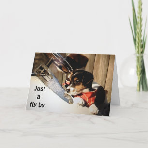 BARNSTORMING RUSSELL TERRIOREN SAGEN GLÜCKLICH 40. KARTE